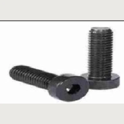ALLEN KEY SCREW 10X80