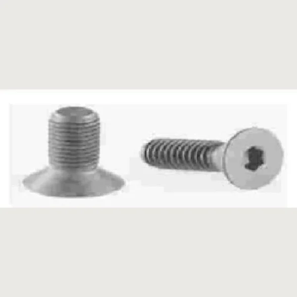 ALLEN KEY SCREW C.H.S4X16