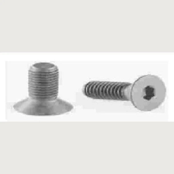 ALLEN KEY SCREW C.H.S4X16