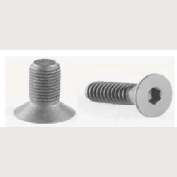 ALLEN KEY SCREW C.H.S4X30