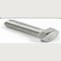 BOLT 10X25