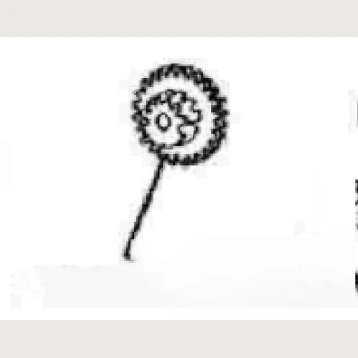 DIAL HEAD SHAFT SUPPORT,F